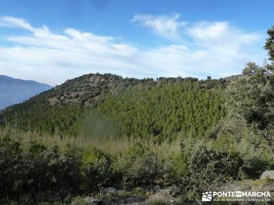 Alpujarras Granadinas [Puente de Reyes] senderismo bizkaia senderismo burgos senderismo en almeria s